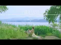 [PLUS N Artist] 🎼 현서(HYUN SEO) '너에게 닿기를' LYRIC VIDEO