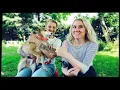 Download Lagu De R en de P afvinken en...heel veel hondjes!! | SHOPPEN \u0026 SHIBA'S | SpullenSpullenSpullen Video #96