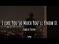 Download Lagu I Love You So Much, you'll know it (lirik dan terjemahan)
