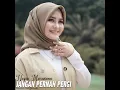 Lagu nazia marwiana jangan pernah pergi full hd