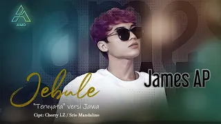 Download James AP - Jebule | Ternyata versi Jawa | Official Music Video MP3