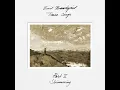 Shimmering - Emil Brandqvist