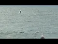 LBI Beach Report Thursday 10 17 24
