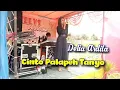 Download Lagu Delia ardila-cinto palapeh tanyo