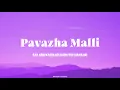 Pavazha Malli Lyrical Video | Sai Abhyankkar | Shruti Haasan | Lyrics | Dhanush Creations
