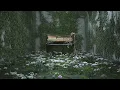 Le Jardin de Monsieur Monet (Visualiser) - Stephan Moccio