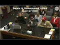 Louisiana redistricting met with fiery testimony opposing Trump as last breath of the Confederacy