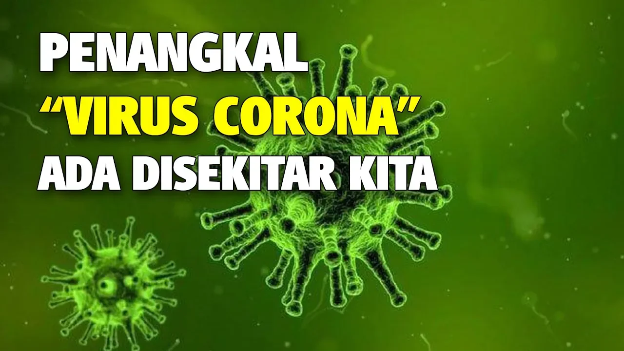 PONTIANAK, KOMPAS.TV - Ada kabar baik untuk petani maupun pengusaha kratom di Indonesia. Setelah lam. 