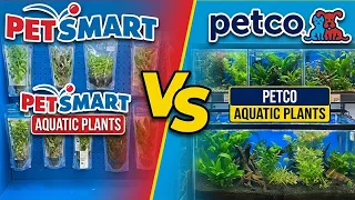 Petco vs Petsmart aquarium plants - a clear winner