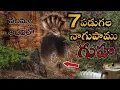 Download Lagu నల్లమల అడవిలో 7 పడగల నాగుపాము గుహా చూడండి Ulleda Malleshwara Swamy Cave Ahobilam Nallamalla Forest