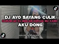 Download Lagu DJ HARUSKAH KU BERLARI KEPADAMU KASIH | DJ AYO SAYANG CULIK AKU DONG VIRAL TIKTOK 2024 REVERB