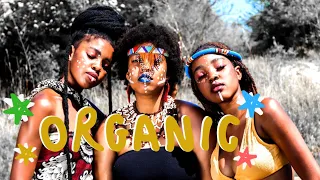 nandi madida organic inspired visuals 