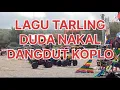 Download Lagu LAGU TARLING DUDA NAKAL DANGDUT KOPLO