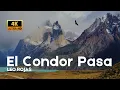 Download Lagu El Condor Pasa - Leo Rojas. #leorojas #elcondorpasa #musicvideo #4k #4kvideo