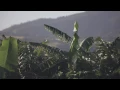 South Africa's Josh Redman, 2015 #Hawaii edit!