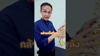 ทำไมกล้ามเนื้อหลังจึงอ่อนแรงหลังจากมีปัญหากระดูกสันหลัง