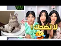 Download Lagu اتحداك ما تضحك بالفيديو هذا !!! جزء الثاني 2 عقاب لخسران شفا