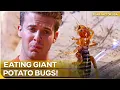 Careful They BITE Fear Factor USA - Season 4 Episode 25