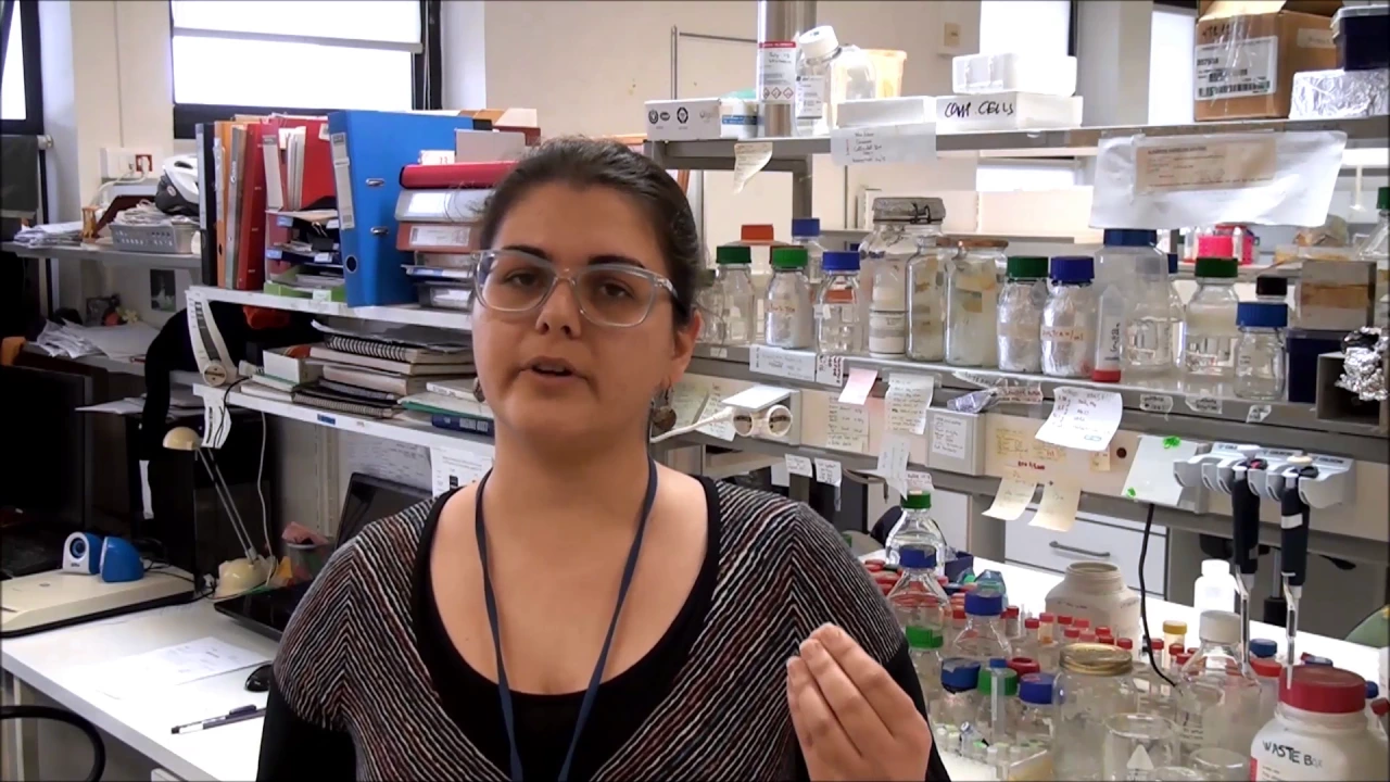 Proteostasis: Understanding protein homeostasis, understanding life