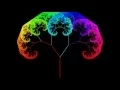 Fractal Tree Morph 4K U 60FPS