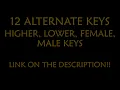 We'll Never Have Sex Karaoke - Leith Ross Instrumental Lower Higher Male Original Key