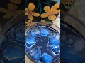 Download Lagu Butterfly Pea Lemonade l sangupushpam juice #shorts #youtube
