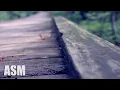 Lagu Cinematic Documentary - by AShamaluevMusic | Inspirational and Emotional Music For Videos \u0026 Films