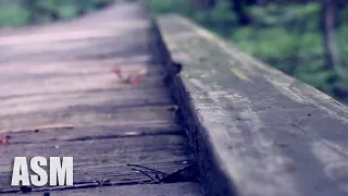 Cinematic Documentary By AShamaluevMusic Official Music Video 