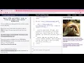 Learn Basic HTML and HTML5 Link to External Pages with Anchor Elements freeCodeCamp org Google