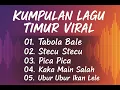 Download Lagu KUMPULAN LAGU TIMUR VIRAL 2025 Tiktok -Tabola bale, Stecu- Stecu, Pica Pica, Ubur Ubur Ikan Lele