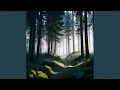 Download Lagu Silent Shadows