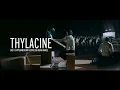Thylacine – "Shark Island" (Live à l’Hyper Weekend Festival de Radio France, édition 2026)