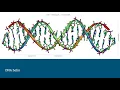 DNA The Code of Life SHA2017