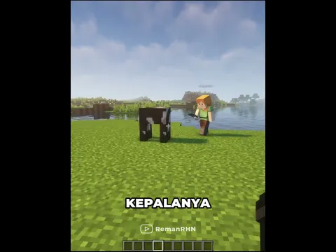 cuma video sapi kok