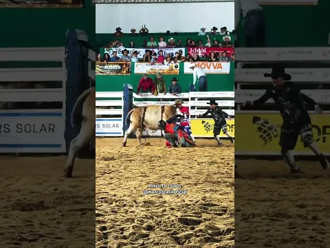 RODEIO // MONTARIA EM TOUROS - Narrando: MARCO BRASIL 🇧🇷 (2026) #rodeio #rodeioshow
