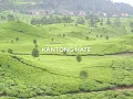 Download Lagu Lagu Sunda Evie Tamala Kantong Hate