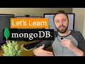 MongoDB Basics CRUD and Node js Integration