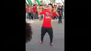 او احله حفله او فرحه مع الضلوع دندنها