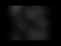 Rosa Schwarz - Freie Kultur Karawane Weimar 2026 - Contrax Recording