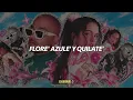 Rosalía - Con Altura (Lyrics) (with J Balvin feat. El Guincho)
