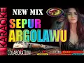 Download Lagu SEPUR ARGOLAWU #karaoke NEW MIX #java_music_underground
