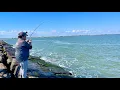 Do This to Catch EASY Limits Surfside Texas