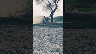 Mission Farming Facebook Reels Tiktok India Instagram 