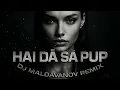 Lagu Hai dă să PUP💋 - Dj Maldavanov Remix | Hit 2026