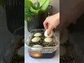 What I ate for breakfast