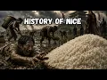 The History of Rice The Grain That Built Half the World