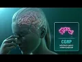 UBRELVY ubrogepant Proposed Mechanism of Action for Migraine