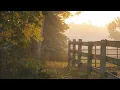 a warm playlist for dark autumn days 🍂☕️🕯️