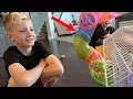 BUILDING A HAMSTER DREAM CAGE