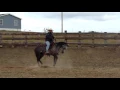 Ron gray 2